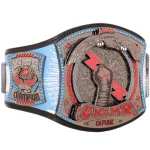 CM Punk 434-Day Record Signature Series Championship Title Belt - Image 3