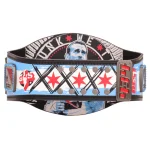 CM Punk 434-Day Record Signature Series Championship Title Belt - Image 4
