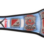 CM Punk 434-Day Record Signature Series Championship Title Belt - Image 5