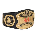 WWE RAW Ruthless Aggression World Tag Team Championship Replica Title Belt - Image 4