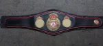 WBO World Boxing Championship Title Belt