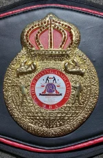 WBO World Boxing Championship Title Belt - Image 3