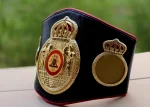 WBA World Boxing Championship Title Belt - Image 2