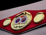 IBF World Boxing Championship Title Belt - Image 4