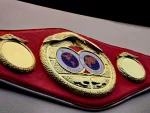 IBF World Boxing Championship Title Belt - Image 3