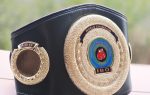 IBO World Boxing Championship Title Belt - Image 6