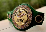 WBC World Boxing Championship Title Belt - Image 2