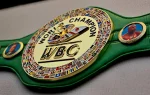 WBC World Boxing Championship Title Belt - Image 7