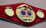 IBF World Boxing Championship Title Belt - Image 5