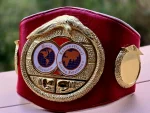 IBF World Boxing Championship Title Belt - Image 6