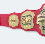 New TNA World Heavyweight Championship Replica Belt (2024) - Image 6