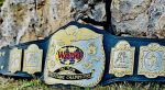 WWF Tag Team Championship Belt - Image 3