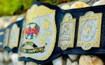 WWF Tag Team Championship Belt - Image 4