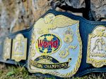 WWF Tag Team Championship Belt - Image 7