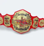 New TNA World Heavyweight Championship Replica Belt (2024) - Image 4