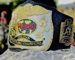 WWF Tag Team Championship Replica Title Belt