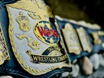 WWF Tag Team Championship Belt - Image 6