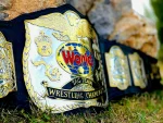 WWF Tag Team Championship Belt - Image 5