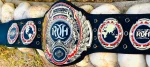 ROH Ring Of Honor Heavyweight Championship Belt - Image 4