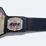 ROH Ring Of Honor World Tag Team Wrestling Championship Title Belt - Image 4