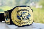WWE OLD OVAL INTERCONTINENTAL Wrestling Championship Title Belt - Image 6