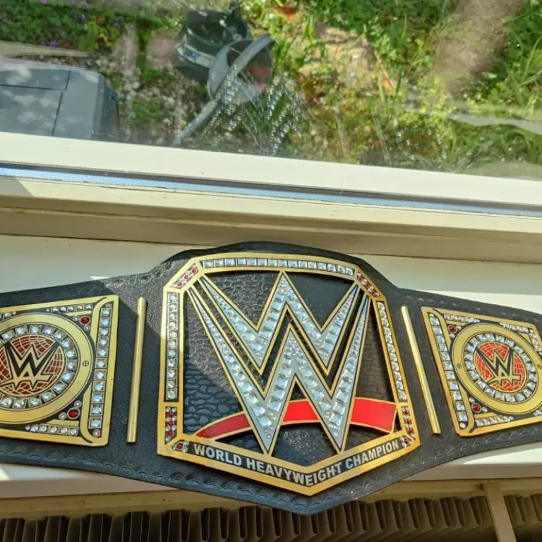 WWE World Heavyweight Championship Replica Title Belt photo review