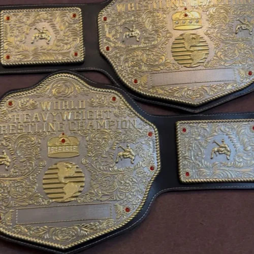 WWE Big Gold World Heavyweight Championship Replica Title Belt photo review