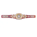 John Cena Farewell Tour 2025 Springfield Spinner Championship Replica Title Belt - Image 7