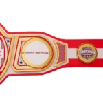 Detroit Red Wings WWE Legacy Title Belt - Image 5