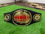WWE Women's 2007 Championship Belt - Image 7