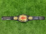 WWE Women's 2007 Championship Belt - Image 4