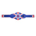 Rangers FC Championship Replica Belt - Image 7